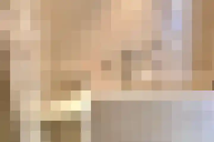 Rozendaalselaan 4 a Velp thumbnail 6