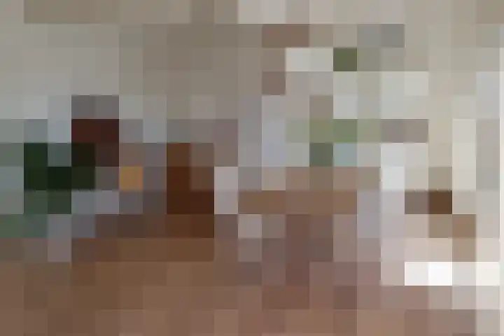 Rozendaalselaan 4 a Velp thumbnail 8