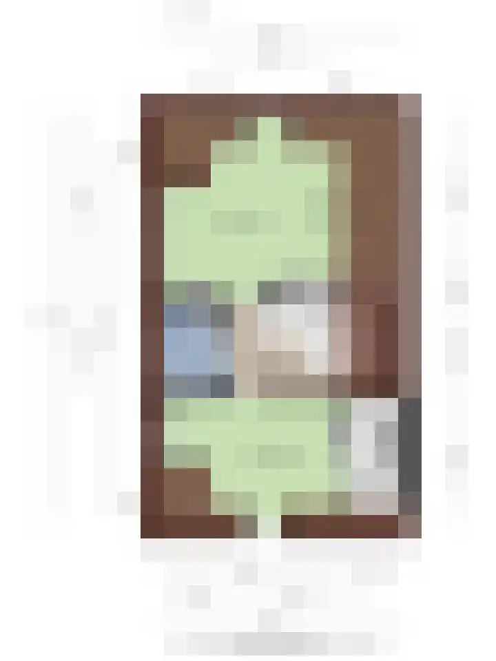 Rozendaalselaan 85 Velp thumbnail 11