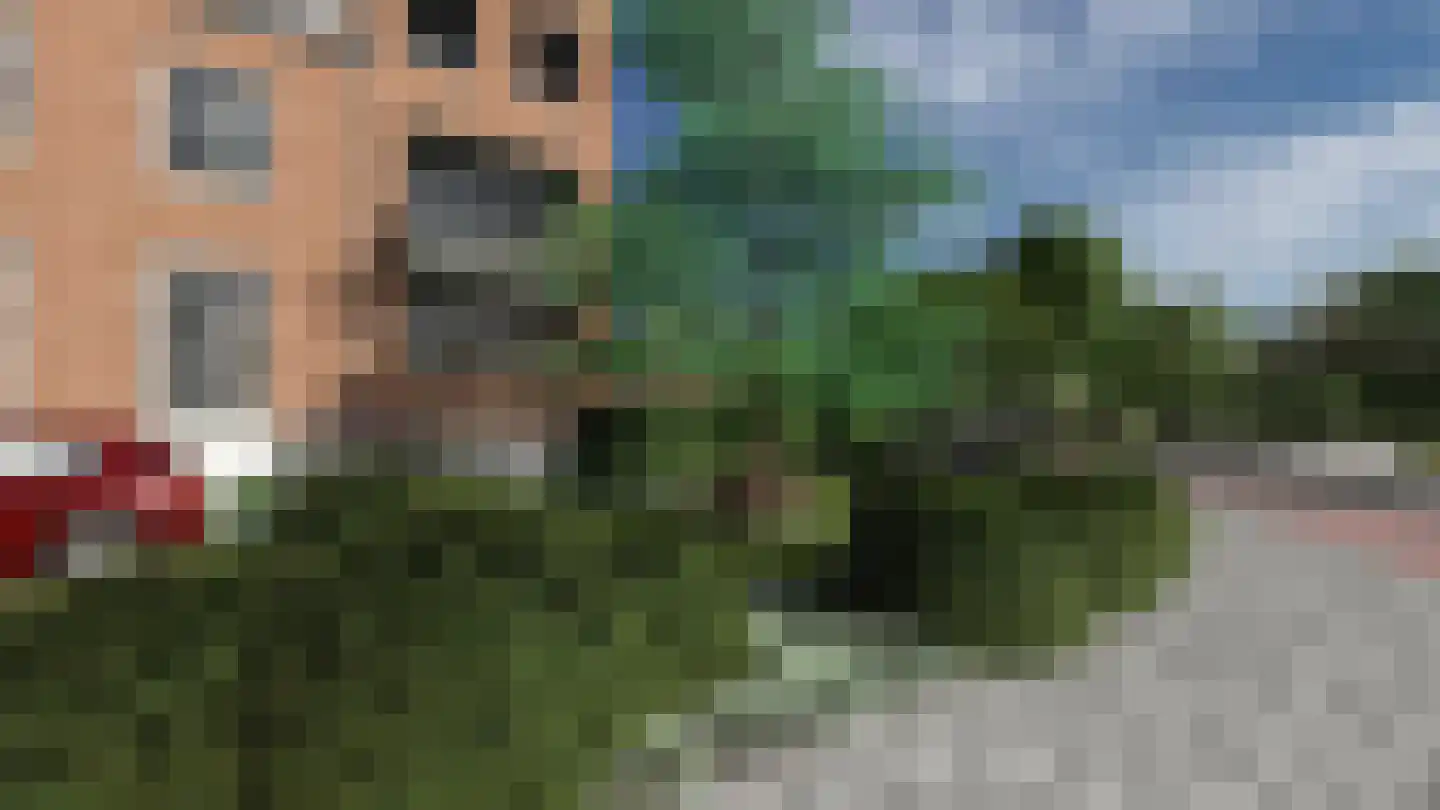 Rozendaalselaan 85 Velp thumbnail 11