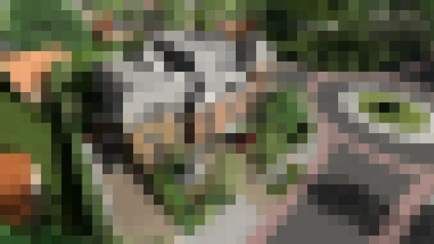 Rozendaalselaan 85 Velp thumbnail 12