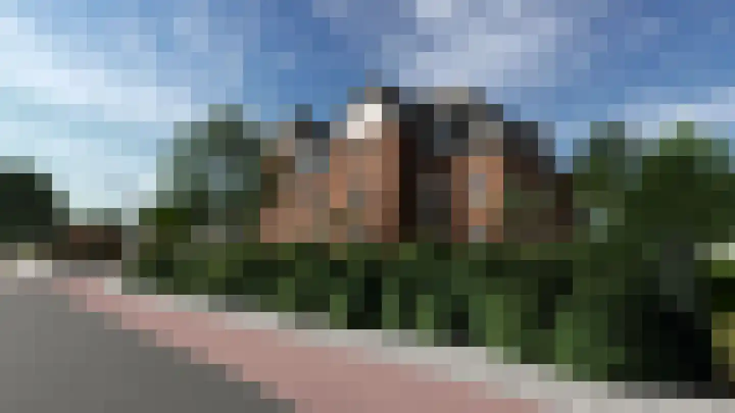 Rozendaalselaan 85 Velp thumbnail 13