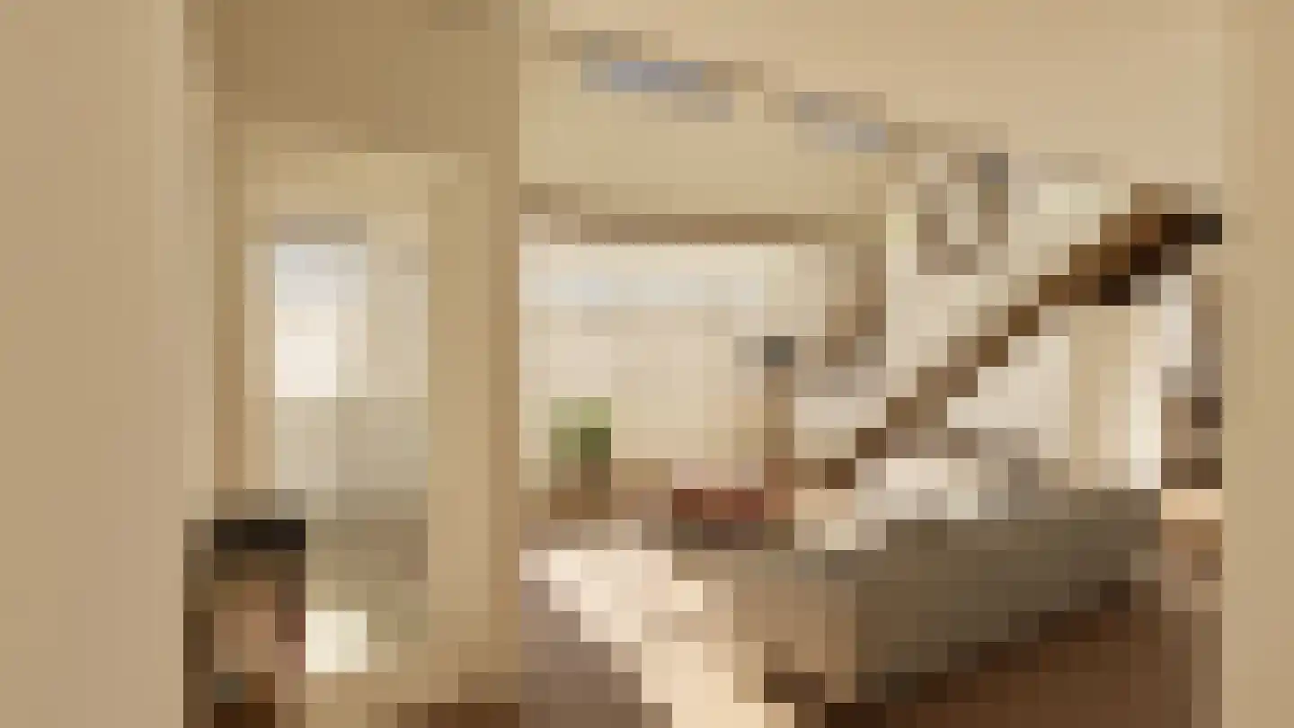 Rozendaalselaan 85 Velp foto 2