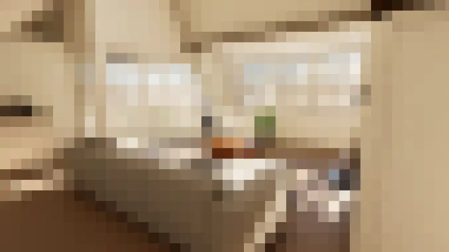 Rozendaalselaan 85 Velp foto 3