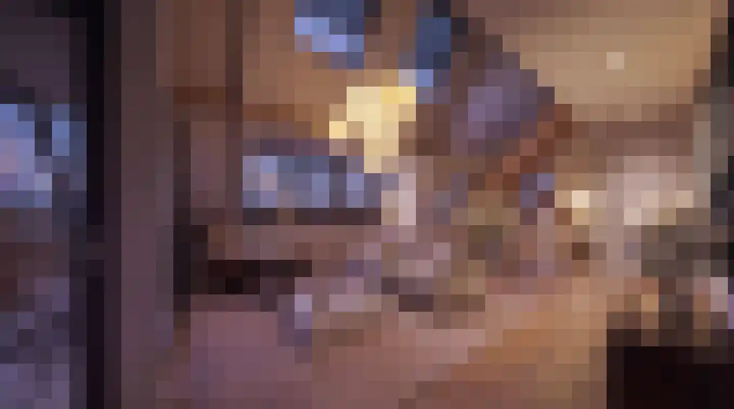 Rozendaalselaan 85 Velp foto 3