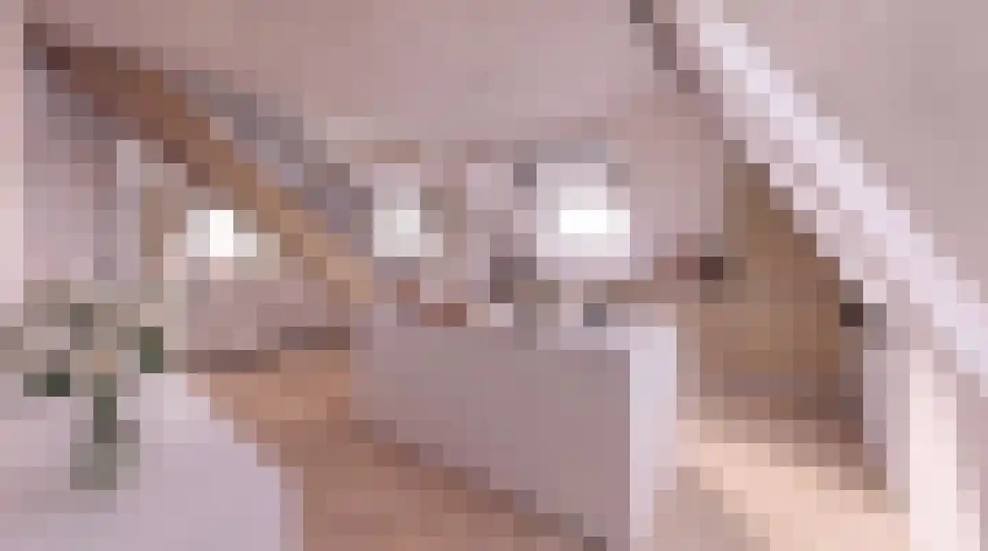 Rozendaalselaan 85 Velp thumbnail 4