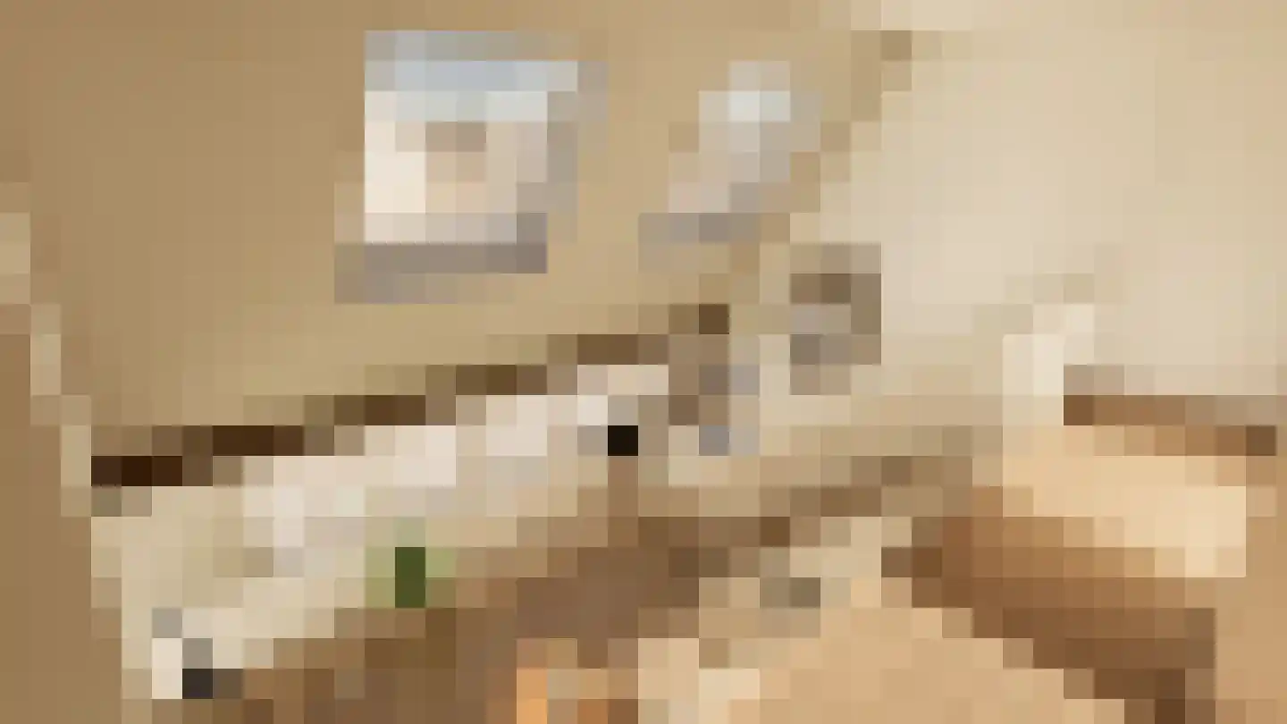 Rozendaalselaan 85 Velp thumbnail 4