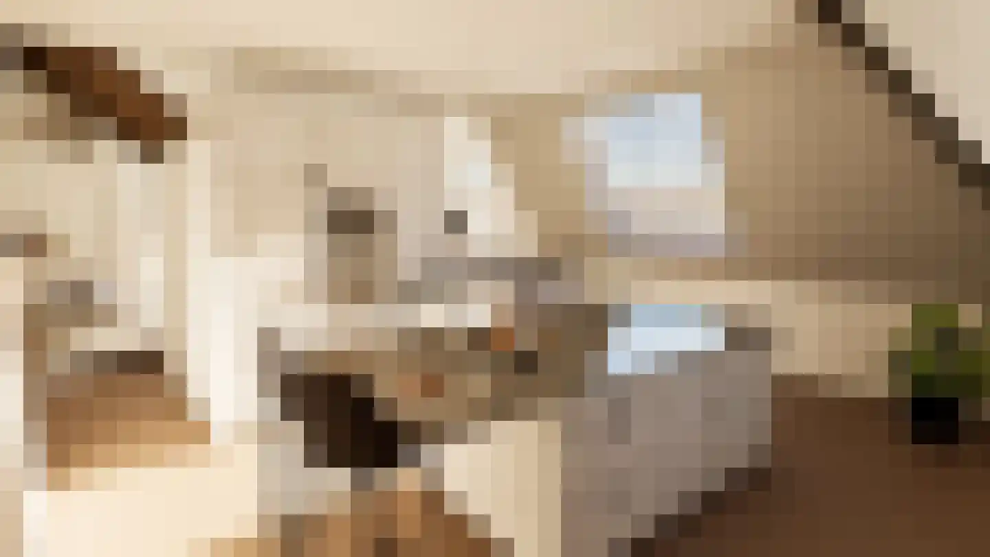 Rozendaalselaan 85 Velp thumbnail 5
