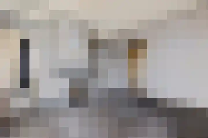 Rozendael 2 Borger thumbnail 5