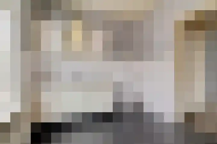 Rozendael 2 Borger thumbnail 7