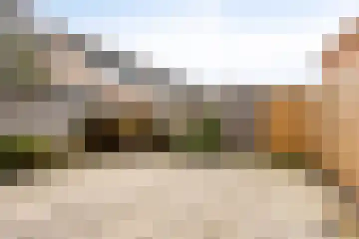 Rozendael 36 Oosterwolde thumbnail 26