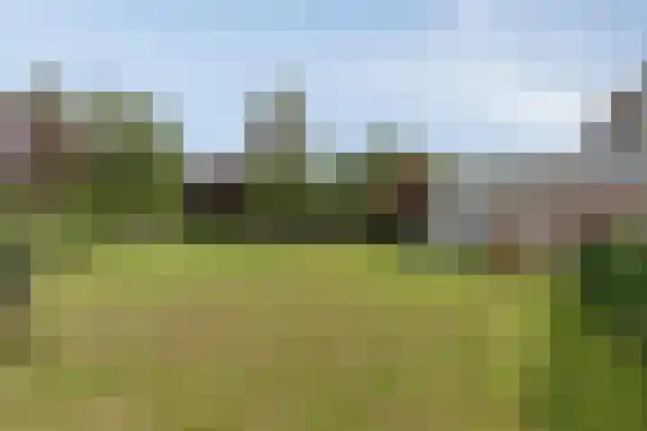 Rozendael 37 Oosterwolde thumbnail 32