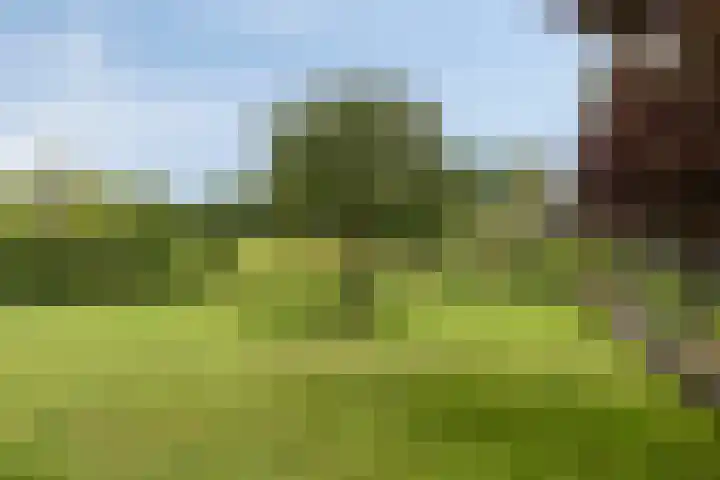 Rozendael 37 Oosterwolde thumbnail 33