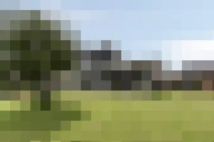 Rozendael 37 Oosterwolde thumbnail 34