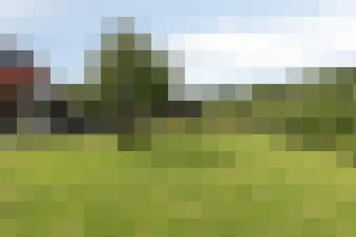 Rozendael 37 Oosterwolde thumbnail 4