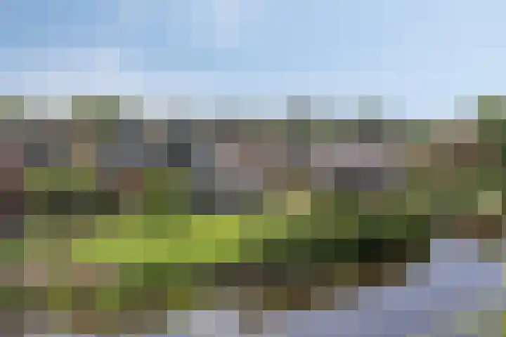 Rozendael 37 Oosterwolde thumbnail 50
