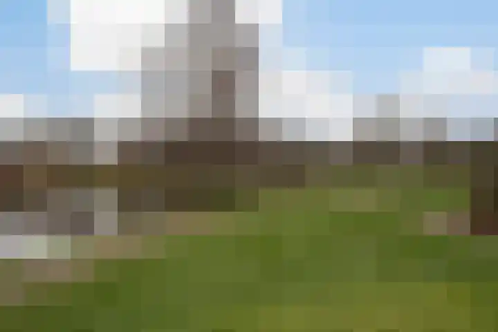 Rozendael 57 Oosterwolde thumbnail 47