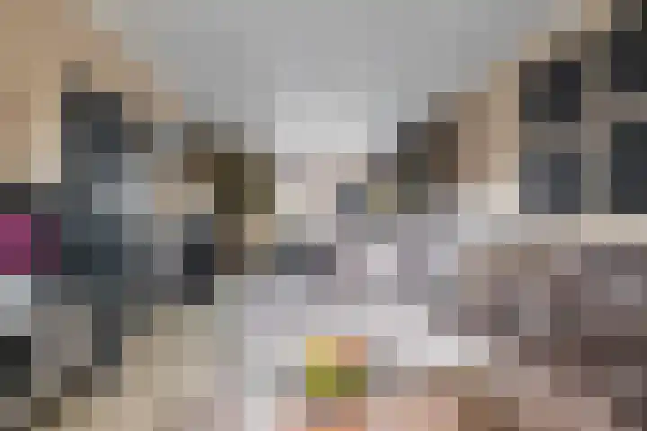 Rozendael 8 Oosterwolde thumbnail 10