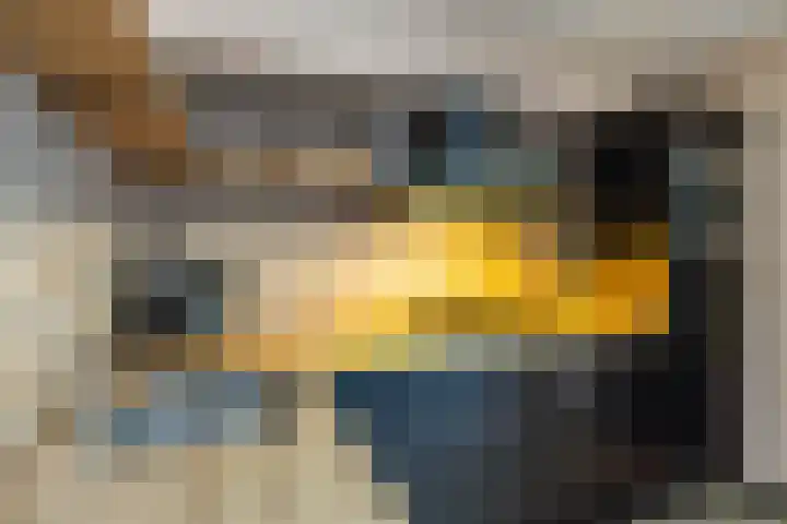 Rozendael 8 Oosterwolde thumbnail 14