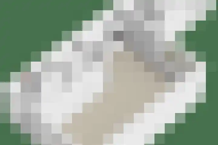 Rozendael 8 Oosterwolde thumbnail 28