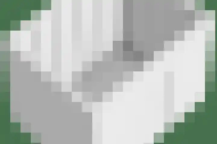 Rozendael 8 Oosterwolde thumbnail 36