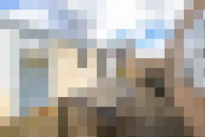 Rozendael 8 Oosterwolde thumbnail 5