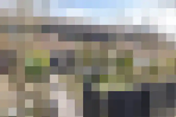 Rozendael 8 Oosterwolde thumbnail 7