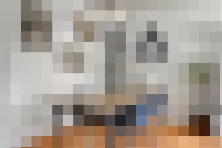 Rozendreef 16 Bleiswijk thumbnail 10