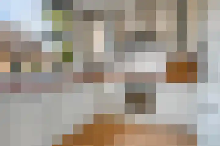 Rozendreef 16 Bleiswijk thumbnail 12