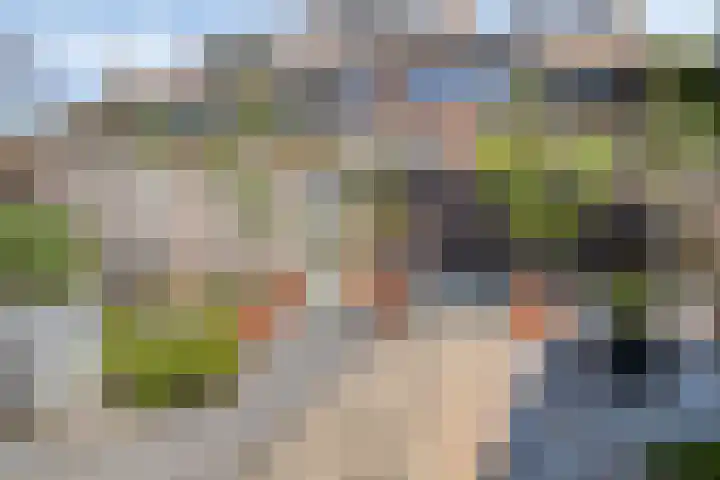 Rozendreef 16 Bleiswijk thumbnail 17