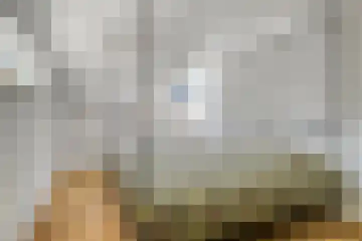 Rozendreef 16 Bleiswijk thumbnail 22