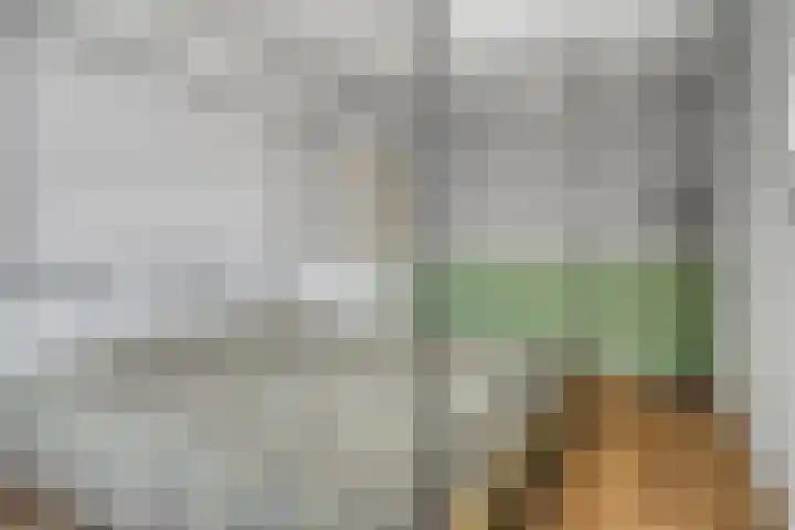Rozendreef 16 Bleiswijk thumbnail 23