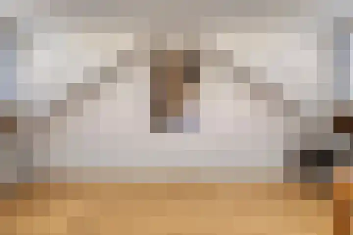 Rozendreef 16 Bleiswijk thumbnail 31