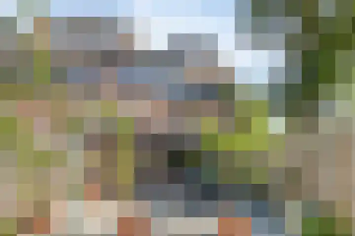 Rozendreef 16 Bleiswijk thumbnail 44