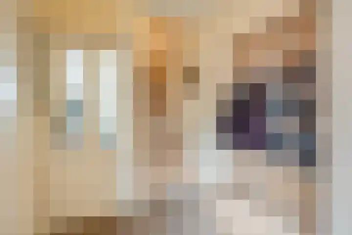 Rozendreef 20 Bleiswijk thumbnail 12