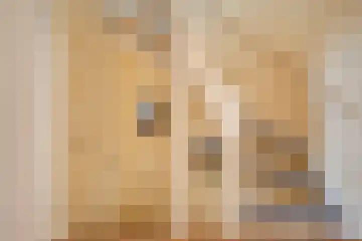 Rozendreef 20 Bleiswijk thumbnail 14