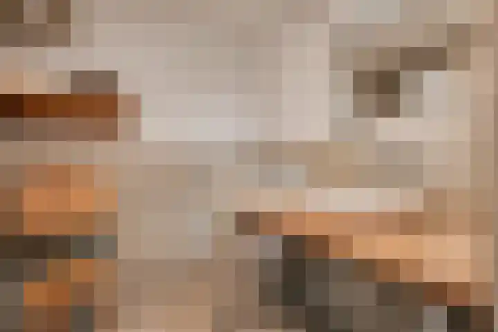 Rozendreef 20 Bleiswijk thumbnail 21