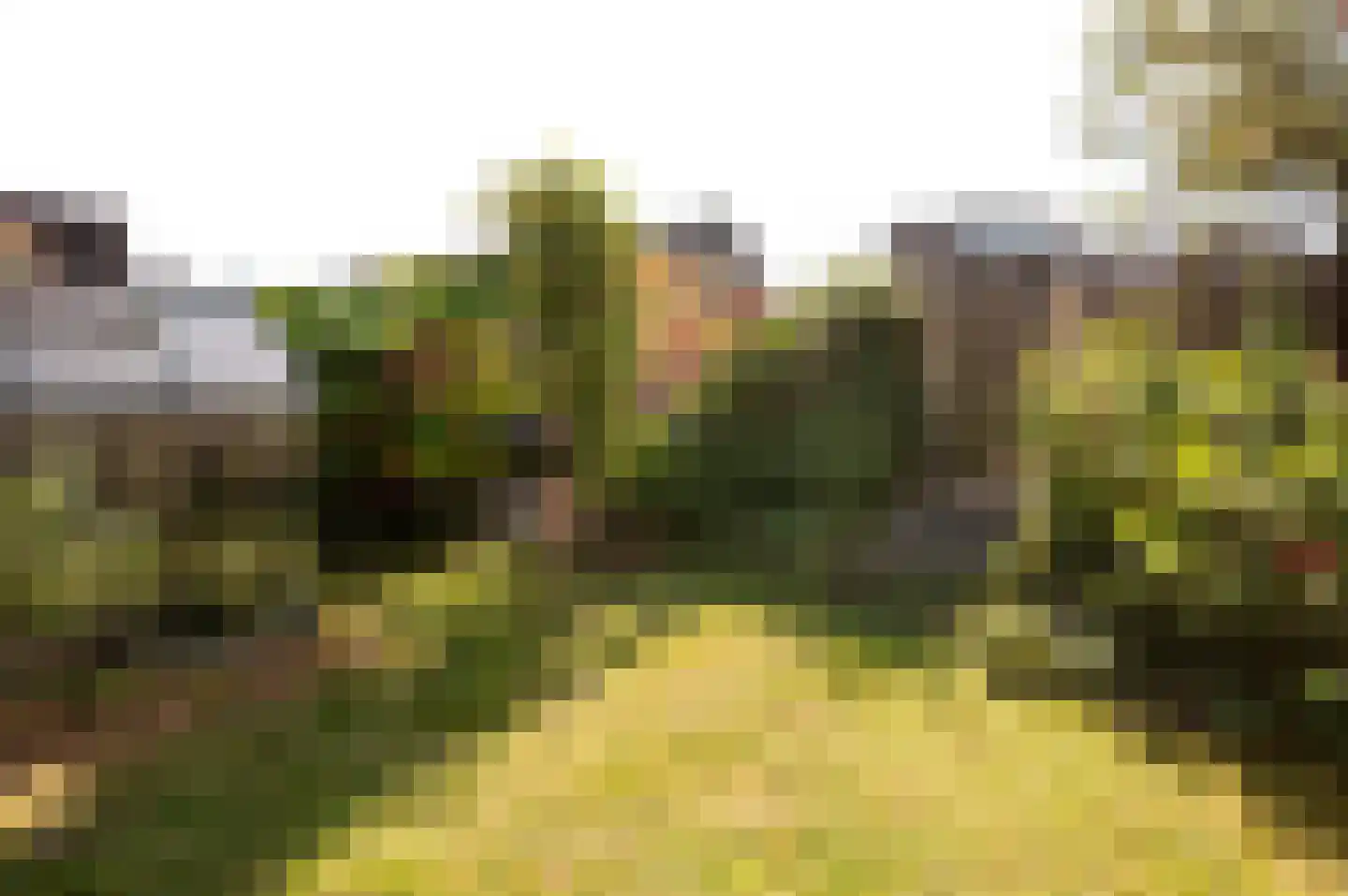 Rozengaard 11 22 Lelystad thumbnail 36