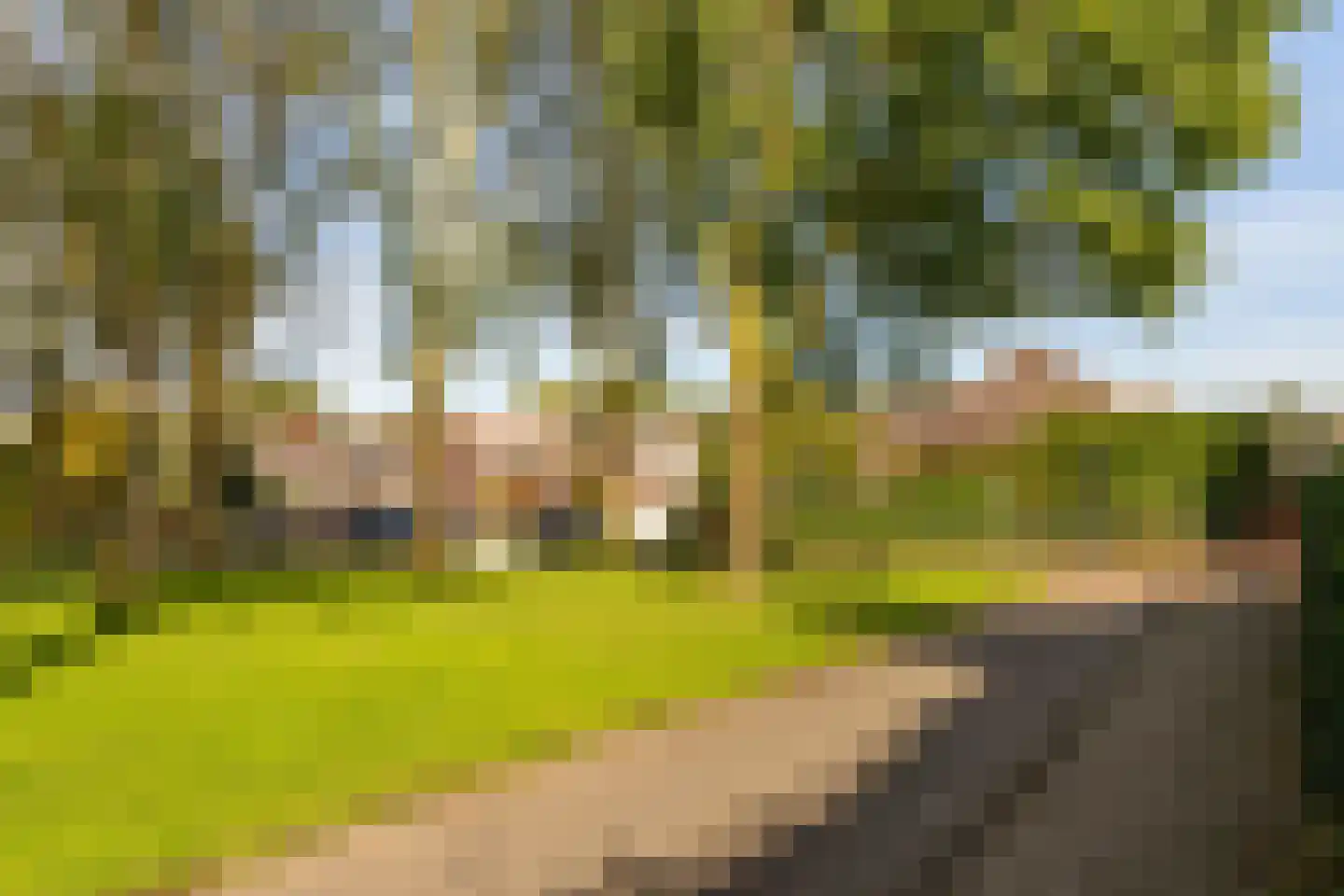 Rozengaard 11 4 Lelystad thumbnail 53