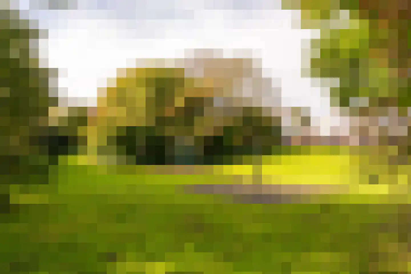 Rozengaard 11 4 Lelystad thumbnail 56