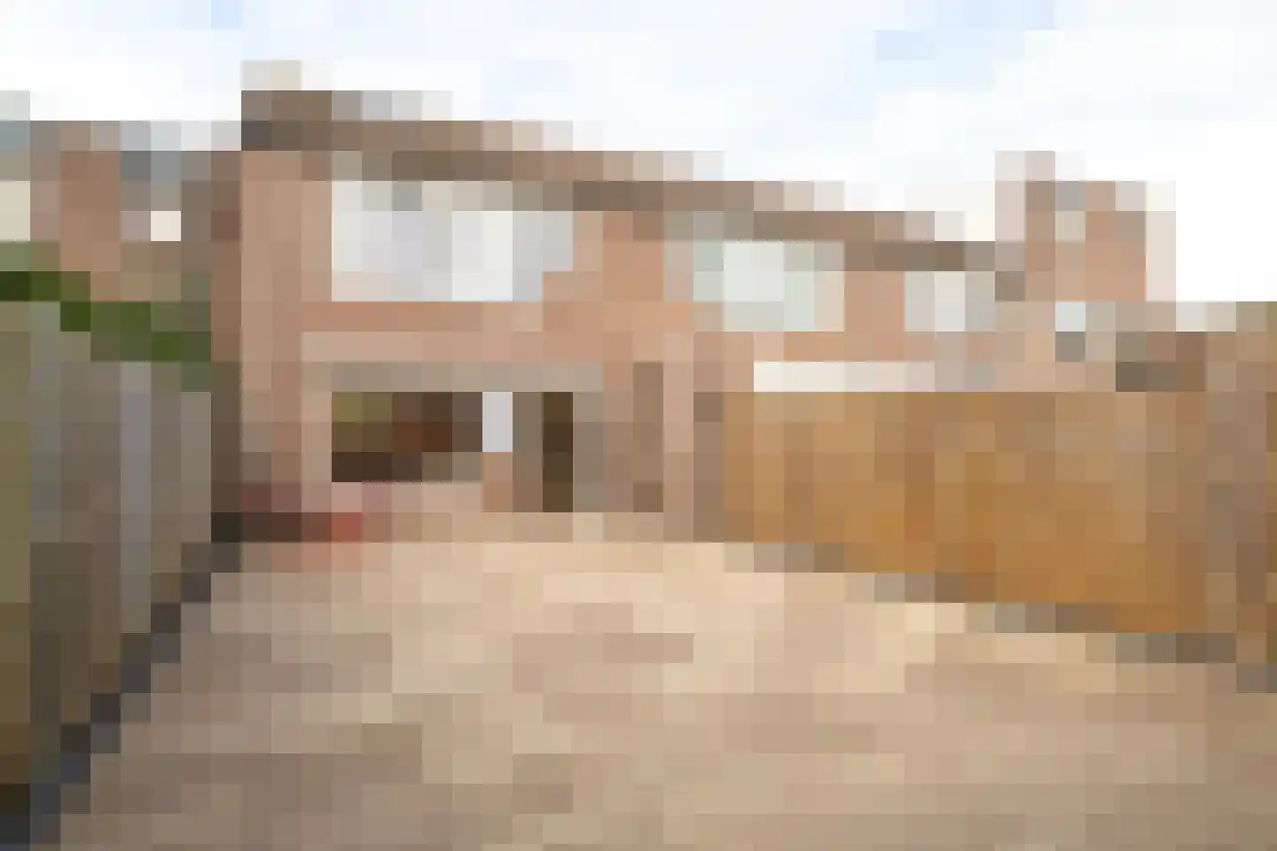 Rozengaard 11 4 Lelystad thumbnail 6