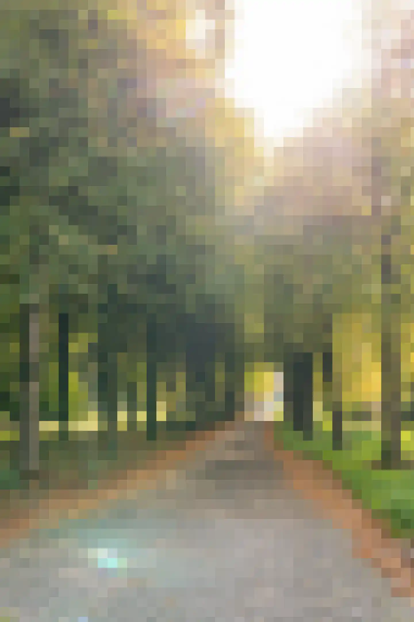 Rozengaard 11 4 Lelystad thumbnail 61
