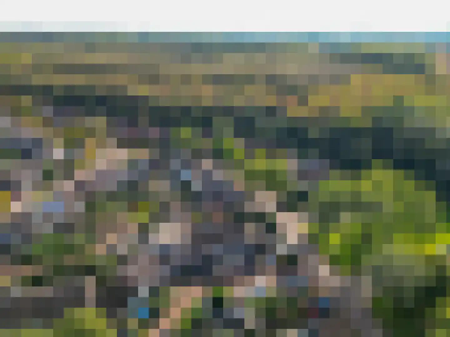 Rozengaard 11 4 Lelystad thumbnail 64