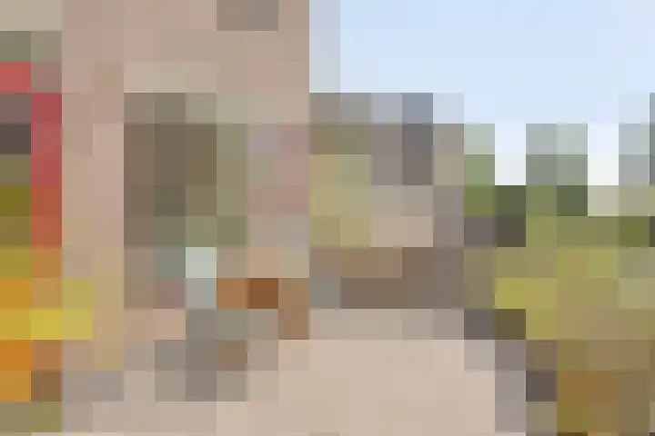 Rozengaard 11 42 Lelystad thumbnail 30
