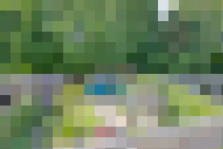 Rozengaard 11 42 Lelystad thumbnail 33