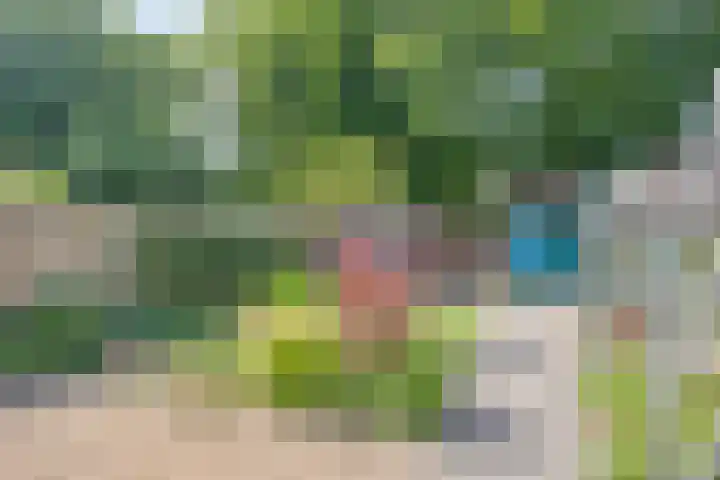 Rozengaard 11 42 Lelystad thumbnail 36