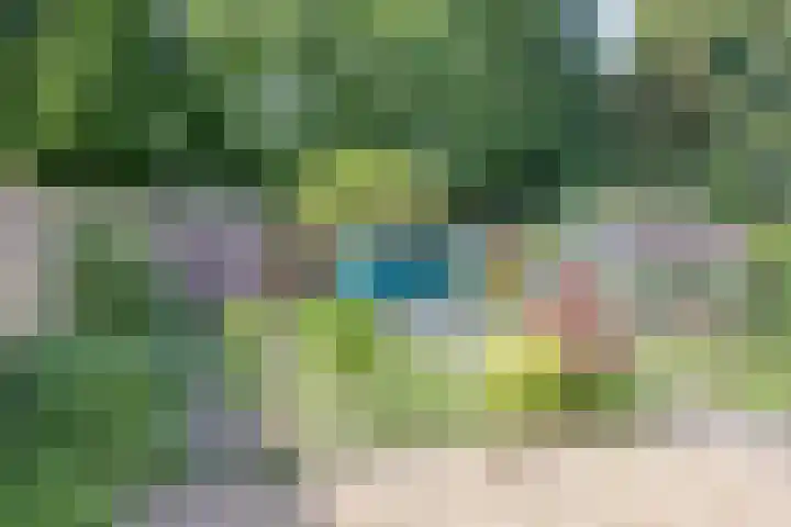Rozengaard 11 42 Lelystad thumbnail 37