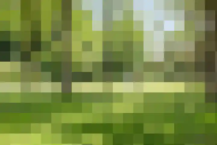 Rozengaard 11 42 Lelystad thumbnail 46