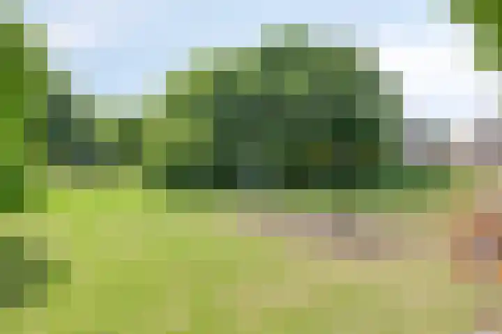 Rozengaard 11 42 Lelystad thumbnail 48