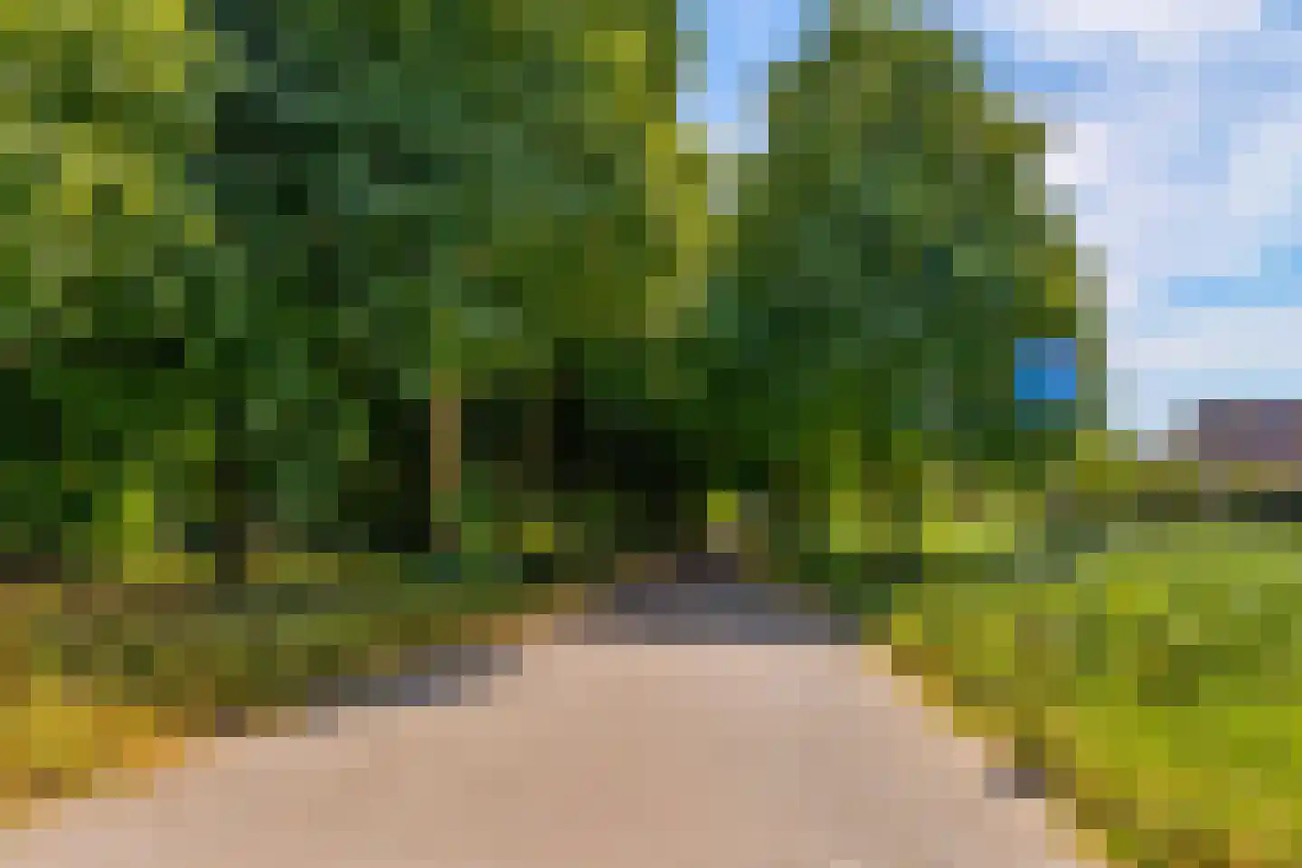 Rozengaard 12 10 Lelystad thumbnail 35